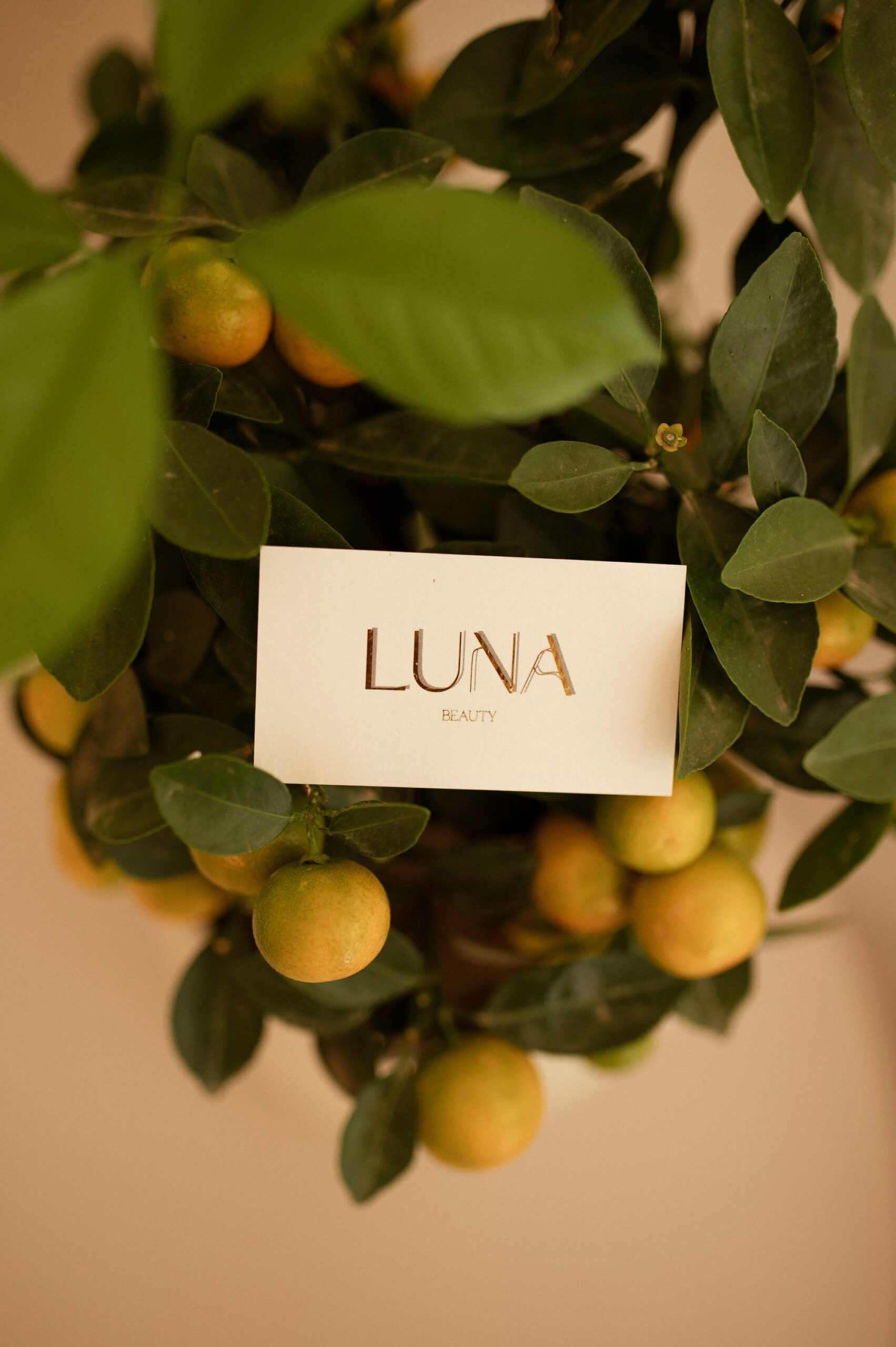 LunaBeauty 8 Scaled