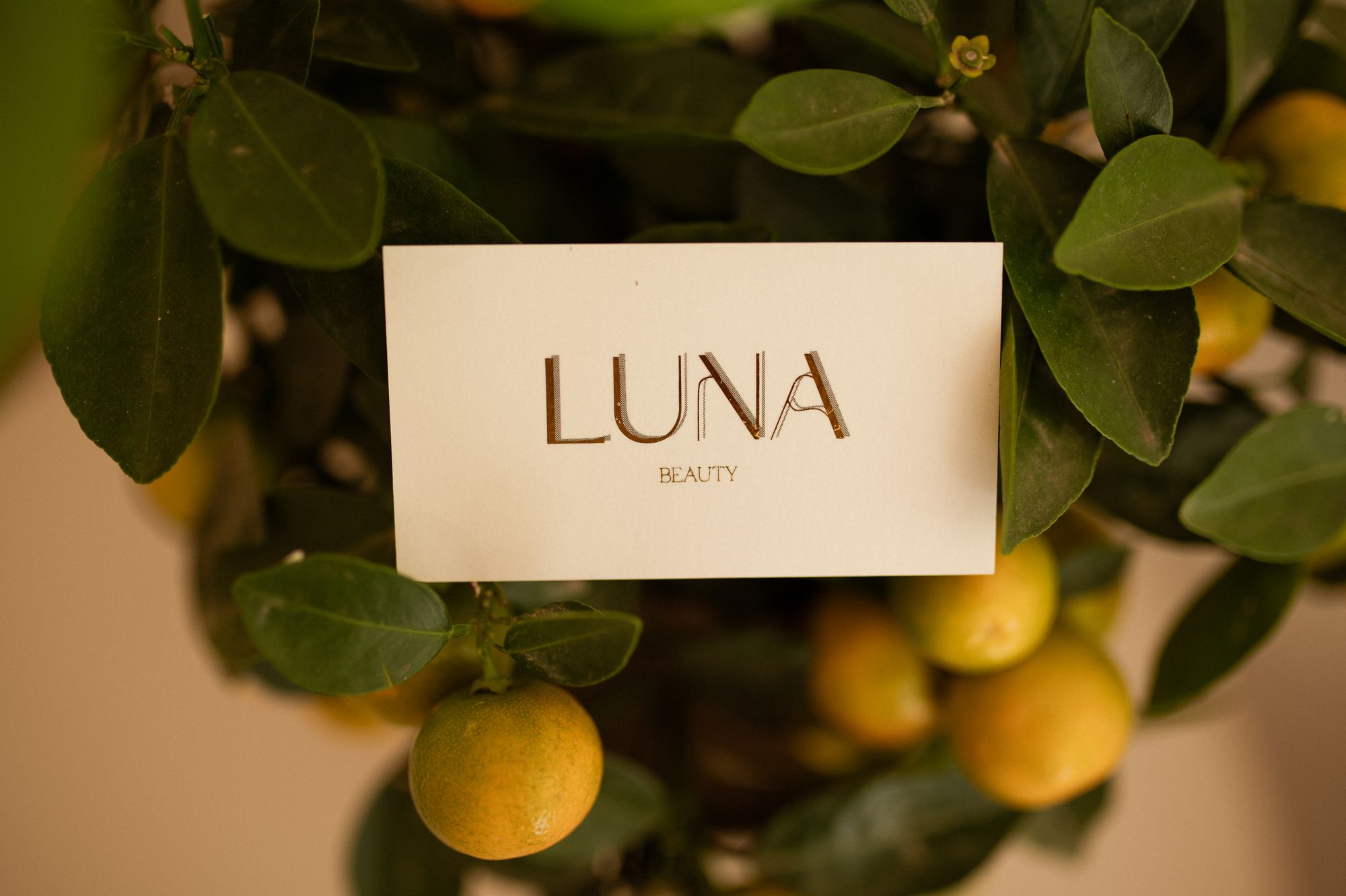 LunaBeauty 9